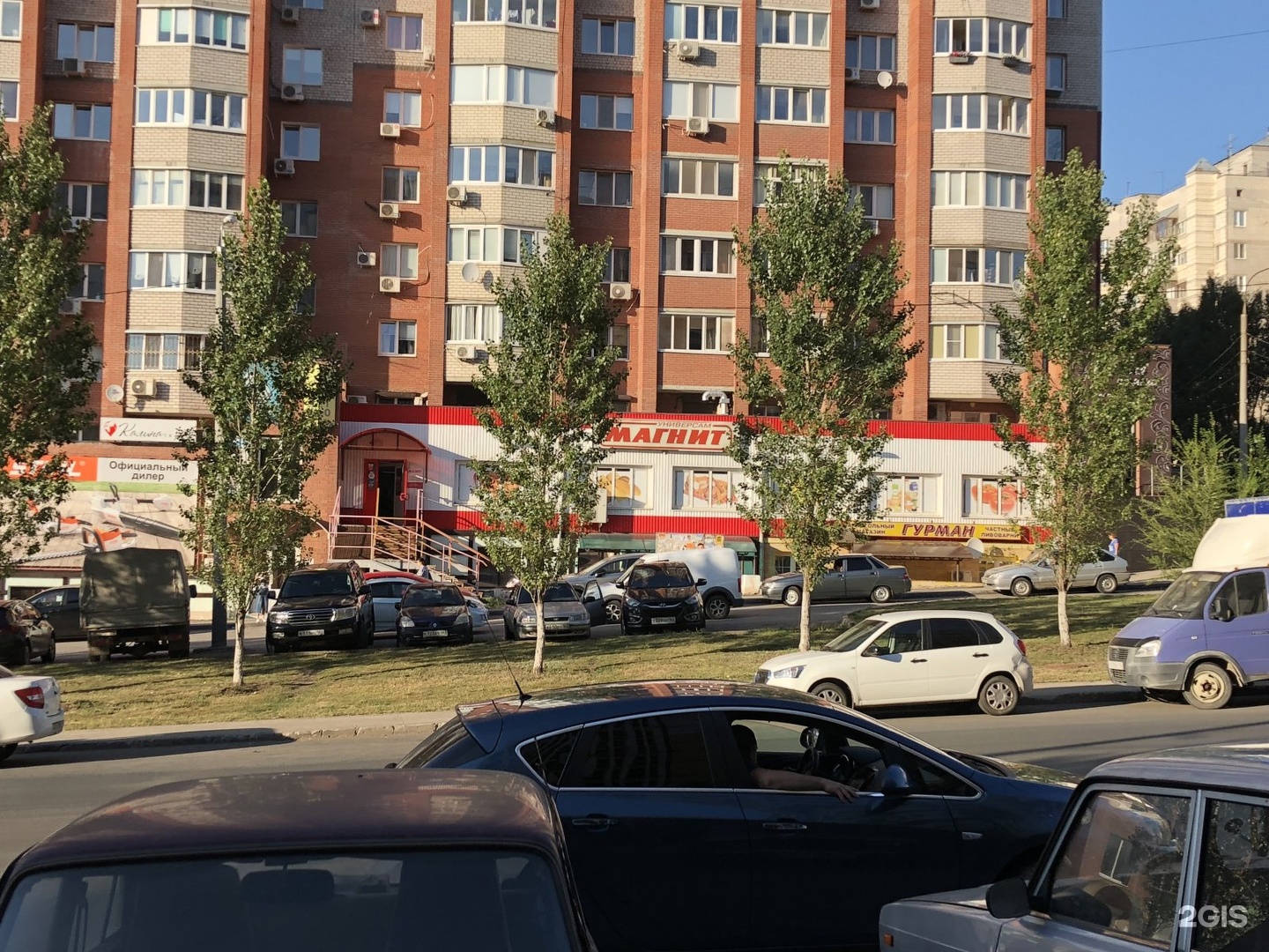 Георгия Димитрова 131
